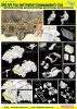 Dragon 6724 SAS 1/4 Ton 4x4 Patrol Commander's Car (1:35)